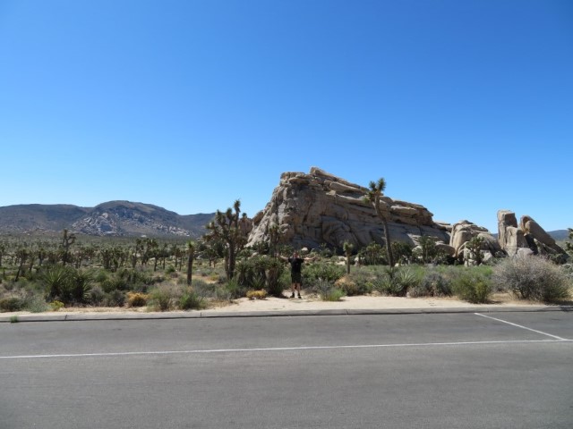 Joshua Tree & Hidden Valley (6).JPG